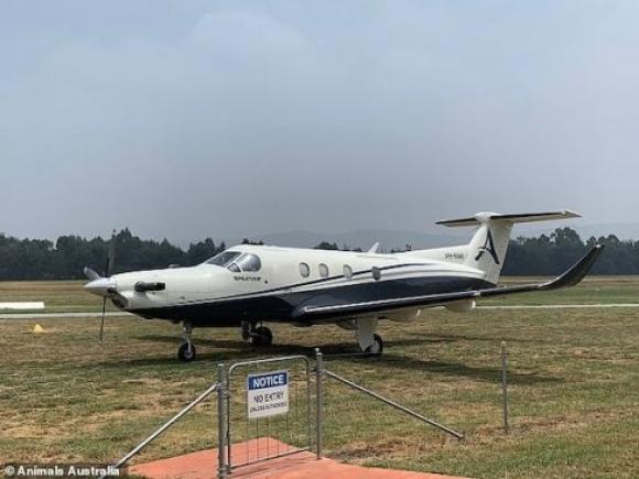 42 6 Uc Dung May Bay Tha Mua Khoai Lang Va Ca Rot Cuu Dong Vat Bi Doi Trong Chay Rung