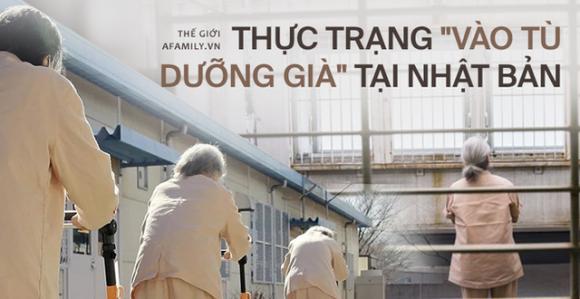 42 1 Cuoc Song Ngheo Nan Le Thuoc Cua Phu Nu Nhat Ban Khi Ve Gia