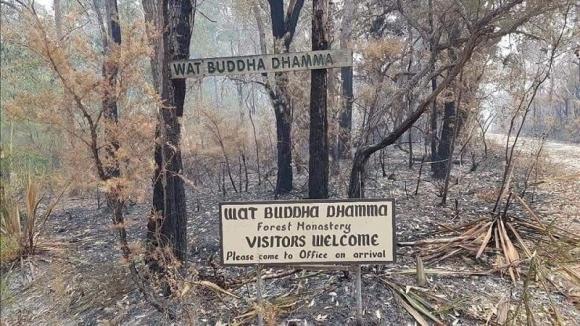 42 3 Dieu Ky Dieu Khi Ngoi Chua Con Nguyen Ven Trong Dam Chay Rung O Uc