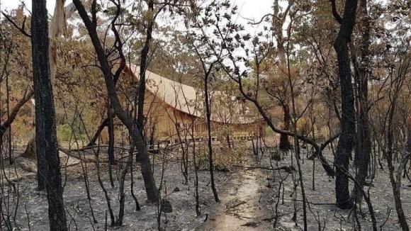 42 4 Dieu Ky Dieu Khi Ngoi Chua Con Nguyen Ven Trong Dam Chay Rung O Uc