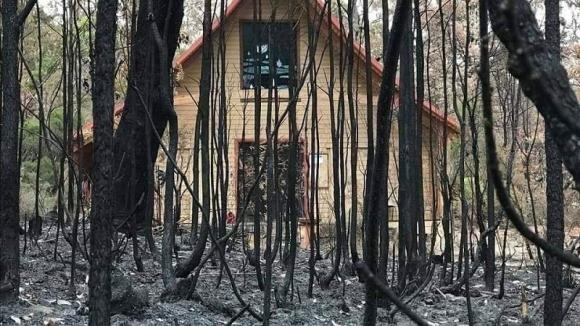 42 5 Dieu Ky Dieu Khi Ngoi Chua Con Nguyen Ven Trong Dam Chay Rung O Uc