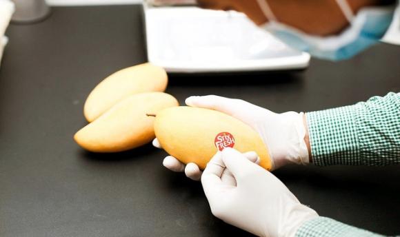 Mẹo giữ trái cây săn chắc, mọng nước và không bị mốc trong suốt 14 ngày chỉ bằng một nhãn dán