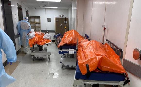 42 1 Hinh Anh Dau Thuong Tai Tam Dich New York Thi The Nan Nhan Covid 19 Xep Hang Chat Hanh Lang Benh Vien