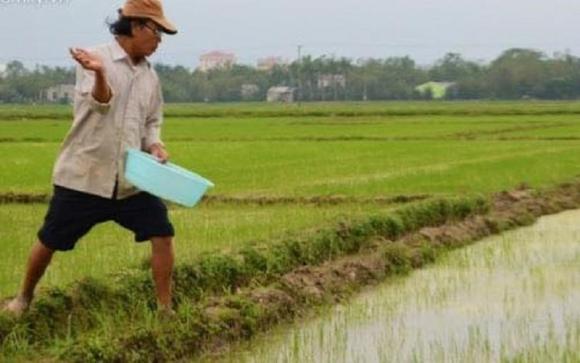 42 8 Lang Thuong Vo Ngoi Lang Doc Dao Co 1 0 2 Tai Viet Nam Phu Nu Chi Viec Sinh Con Dong Ang Bep Nuc Giat Giu Dan Ong Lo Het