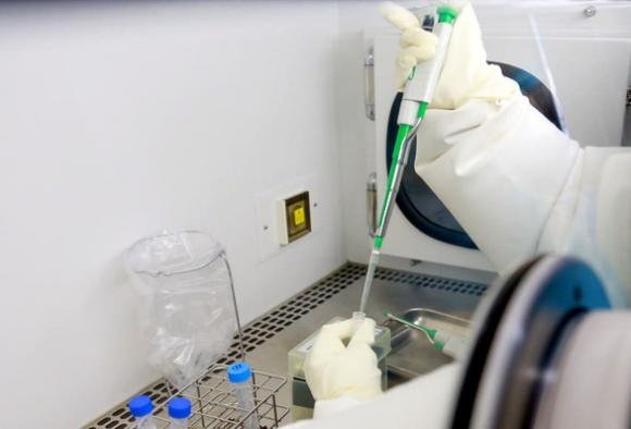 42 1 My Vien Tro Viet Nam 95 Trieu Usd Chong Dich Covid 19