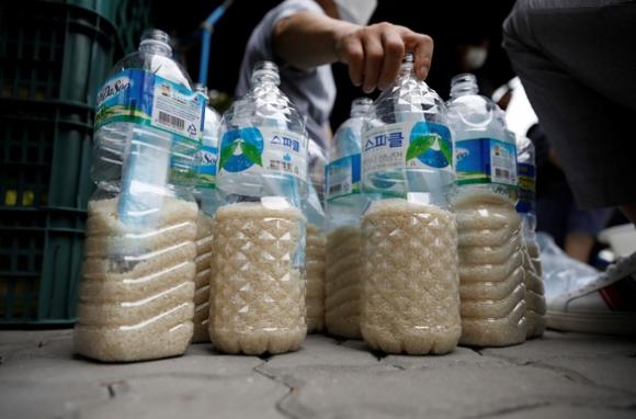 42 1 Trieu Tien Noi Se Rai Truyen Don Vi Thay Bi Han Quoc Xuc Pham