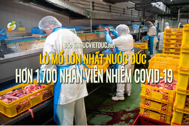 nguoi dan duc tuc gian vi o dich bung phat bao tintucvietduc