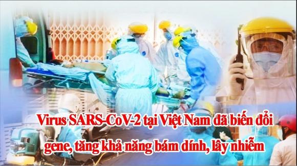 42 1 Virus Sars Cov 2 Tai Viet Nam Da Bien Doi Gene Tang Kha Nang Bam Dinh Lay Nhiem