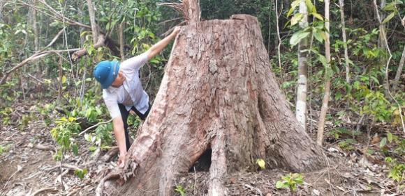 42 1 Bi Bat Lam Tac Khai Ra Vi Tri Pha Rung Moi