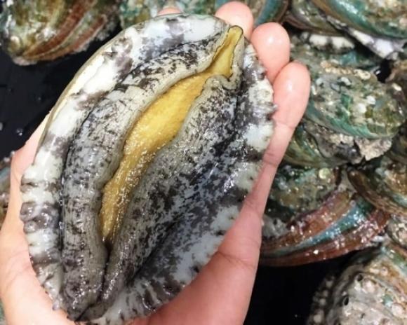 42 2 15000 Dong Mot Con Bao Ngu Han Quoc