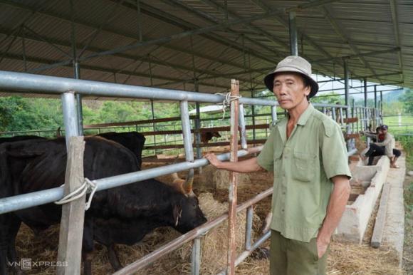 42 2 Dan Bo Tot Vuon Quoc Gia Doi Tro Xuong