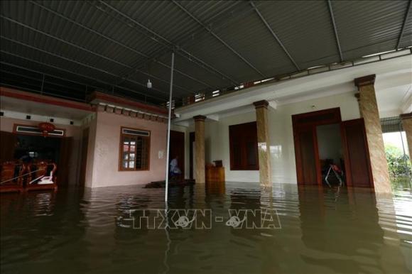 42 10 Ha Tinh Nhieu Xa Cua Huyen Thach Ha Van Chim Trong Bien Nuoc