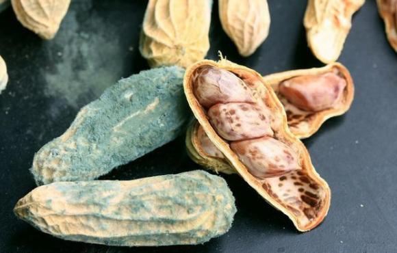 42 1 4 Thu Trong Can Bep La Khoi Nguon Cua Benh Ung Thu Gan Chua Chat Doc Khet Tieng Nhat The Gioi