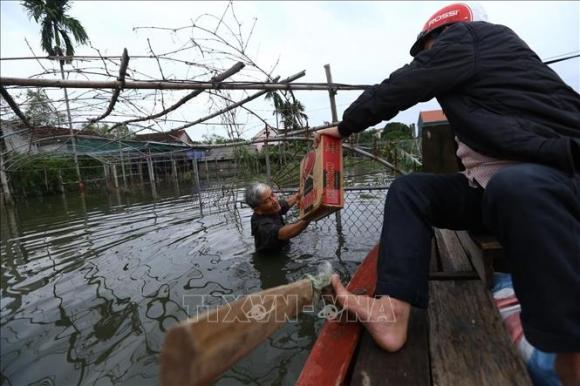 42 4 Ha Tinh Nhieu Xa Cua Huyen Thach Ha Van Chim Trong Bien Nuoc