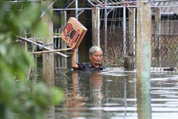 42 5 Ha Tinh Nhieu Xa Cua Huyen Thach Ha Van Chim Trong Bien Nuoc