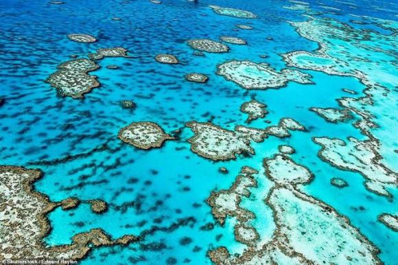 42 8 Man Nhan Ngam Dia Danh Duy Nhat Cua Viet Nam Lot Top 50 Diem Dep Nhat The Gioi 2020