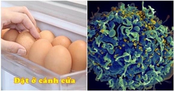 42 1 Ngay Nao Cung De Trung Sau Cua Tu Lanh Nghe Chuyen Gia Noi Tac Hai Ma Rung Roi