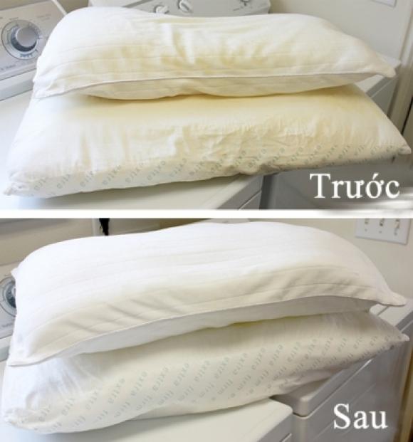 42 2 Cach Cuc Hay Lam Sach Ruot Goi Du Ban Den May Cung Trang Tinh