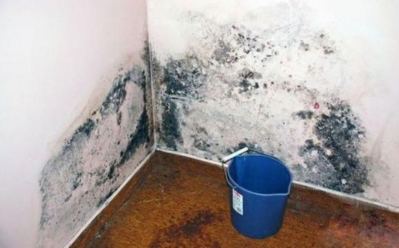 42 2 Chang Trai 23 Tuoi Khong Uong Ruou Khong Hut Thuoc Nhung Phoi Nhu Luoi Danh Ca Bac Si Canh Bao Thu Pham Nam Tren Tuong