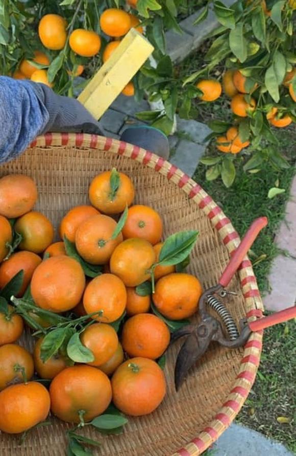 42 4 Bang Kieu Chia Se Ve Cuoc Song O My Mua Covid 19