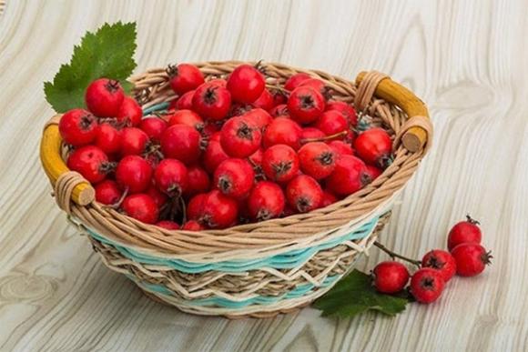 42 3 Bao Ve Suc Khoe Vao Mua Dong Chi Can An Nhieu 1 Rau 2 Viec Dung Gio Tranh 3 Qua Va Lam 4 Dieu