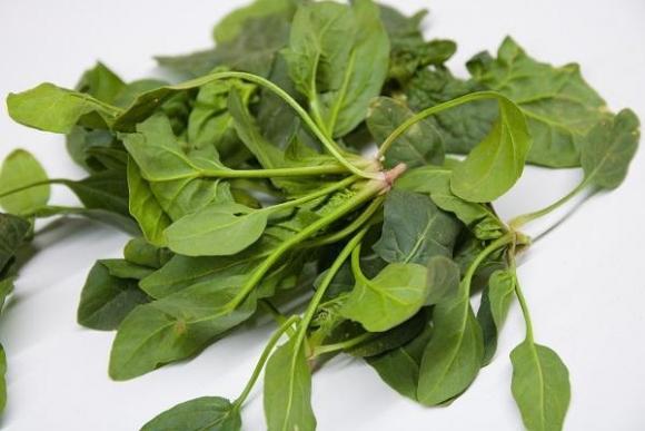 42 3 Bat Ke Dan Ong Hay Phu Nu Sau Tuoi 50 Nen Tranh 3 Loai Thuc Pham An Nhieu Se Lam Ton Thuong Nao Va De Dan Den Mat Tri Nho