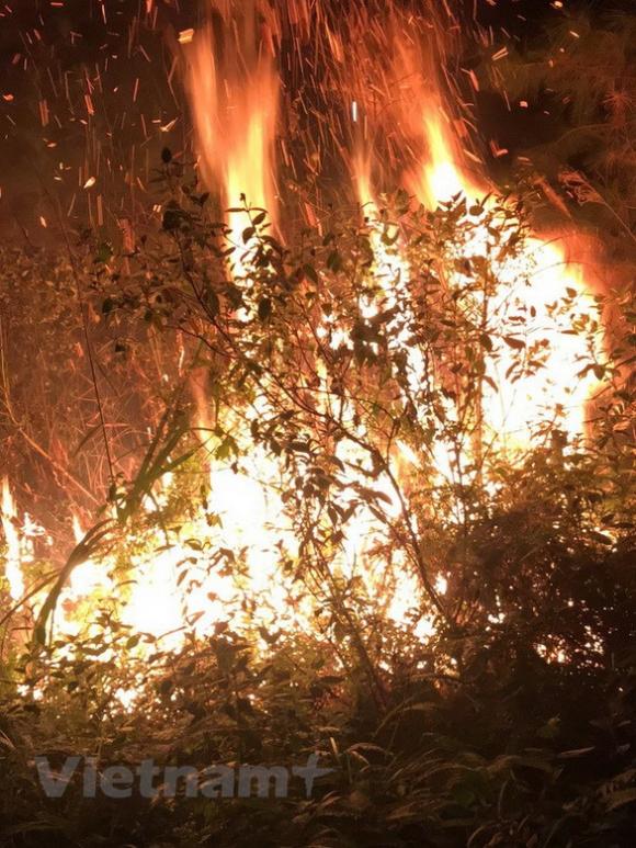 42 1 Chay Lon Canh Truong Ban Soc Son Ha Noi Nua Dem Van Chua Dap Duoc Lua