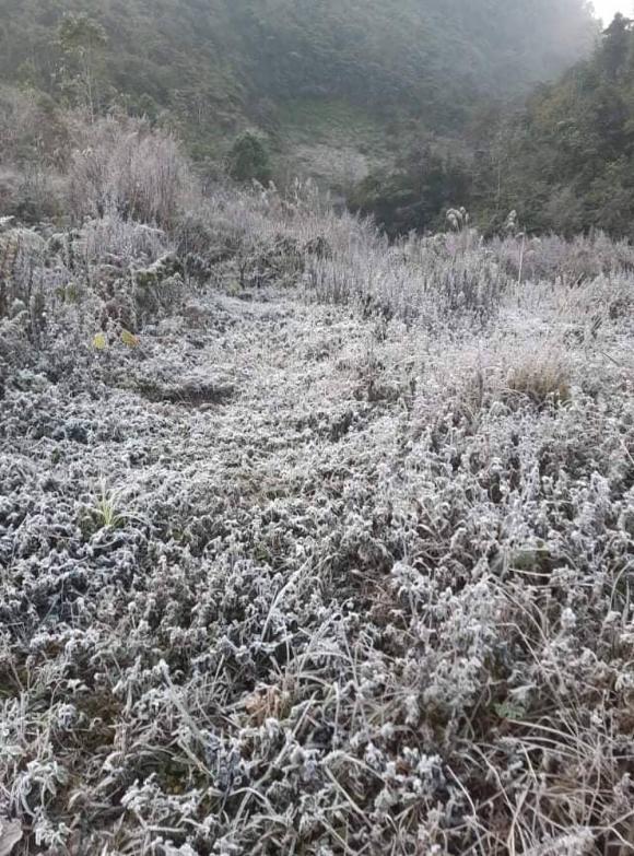 42 3 Xuat Hien Bang Gia Nhieu Truong Phai Cho Hoc Sinh Nghi Hoc