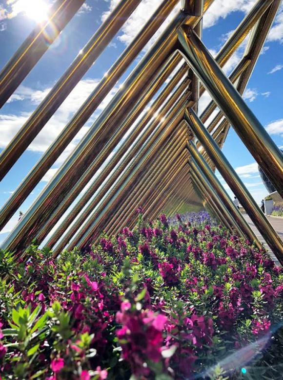 42 11 Ai Thuy   Nu Kien Truc Su Tao Nen Cay Cau Vang Made In Vietnam Lam Kinh Ngac Khap The Gioi Va Lan Dau Nghe Ke Ve Y Nghia That Su Cua Doi Ban Tay Khong Lo