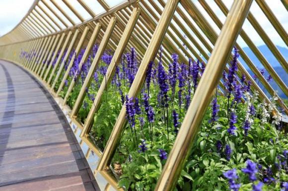 42 12 Ai Thuy   Nu Kien Truc Su Tao Nen Cay Cau Vang Made In Vietnam Lam Kinh Ngac Khap The Gioi Va Lan Dau Nghe Ke Ve Y Nghia That Su Cua Doi Ban Tay Khong Lo