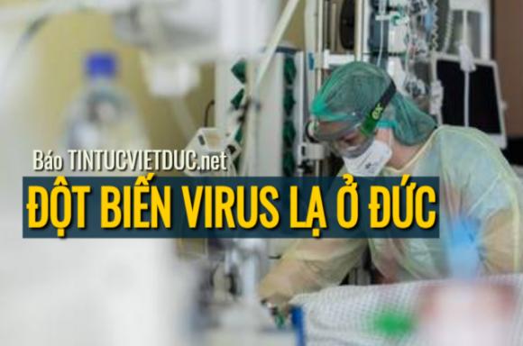 42 1 Dich Benh Bung Phat Tai Benh Vien Bayern Duc Phat Hien Dot Bien Virus La