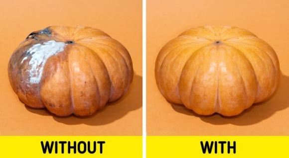 42 5 8 Cach Giu Thuc Pham Tuoi Ngon Trong Nhieu Tuan Ma Khong Can Dung Den Tu Lanh