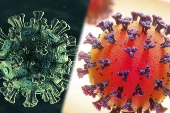 Biến chủng mới SARS-COV-2 ở Anh được chứng minh tăng nguy cơ với người trẻ: Virus như một tên trộm thành thạo "đột nhập" và làm tổn thương cơ thể người