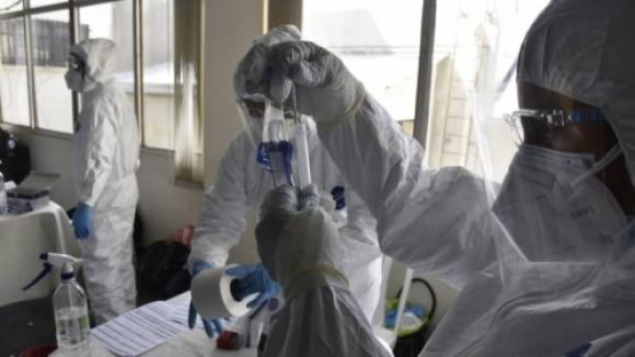 42 1 Chau Au Canh Bao Giay Chung Nhan Am Tinh Covid 19 Gia