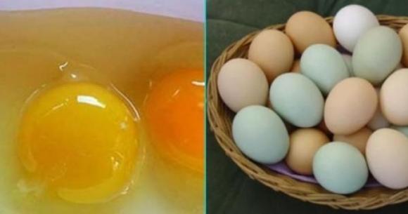 Đập trứng gà ra bát thấy lòng đỏ màu đậm và nhạt khác nhau: Ăn loại nào tốt hơn?