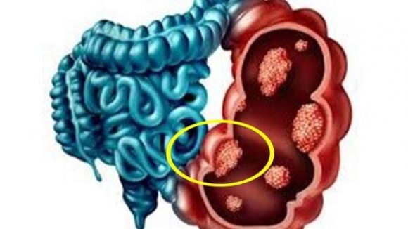 Người có 3 bộ phận này càng sạch thì càng sống thọ: Có 1 thôi đã rất khỏe mạnh rồi