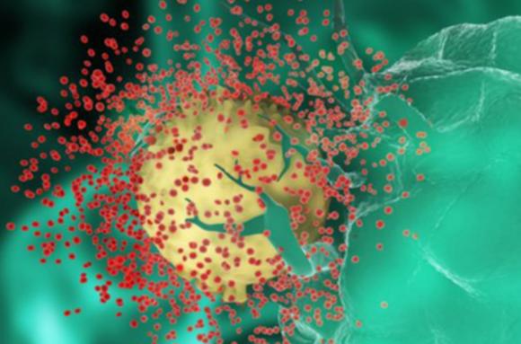 Tốc độ lây lan của biến thể SARS-CoV-2 mới nhanh gấp 4-5 lần