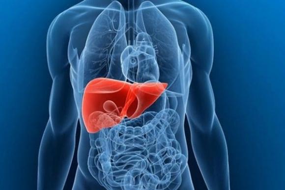 Thấy 6 dấu hiệu này chứng tỏ gan của bạn đang có vấn đề, cần khám ngay kẻo ân hận đã muộn