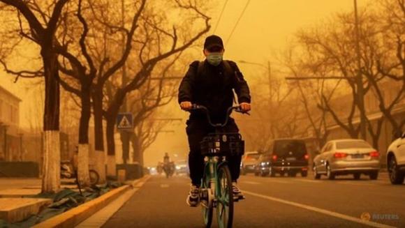 42 2 Cuong Phong Manh Nhat Thap Ky Do Bo Ca Bac Kinh Chim Trong Mau Nau Nhat