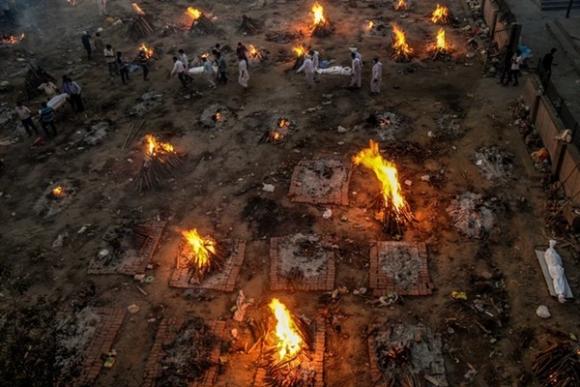 42 1 Bai Hoa Tang Covid 19 Luon Ruc Lua O An Do Giong Nhu Ngay Tan The He Lo Su That Khung Khiep Ve Tang Bang Chim It Ai Biet