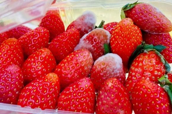 42 1 Who Cong Bo 4 Loai Thuc Pham Dung Dau Danh Sach Den Gay Ung Thu Gan Muon Song Lau Hay Tranh Xa