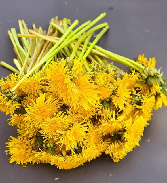 42 2 Nu Viet Kieu O Duc Nau 7 Mon Ngon Bo Mat Tu Cay Bo Cong Anh