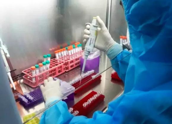 42 1 Phat Hien Bien The Sieu Lay Nhiem Cua An Do O Cac Benh Nhan Covid 19 Tai Ha Noi Hung Yen Thai Binh