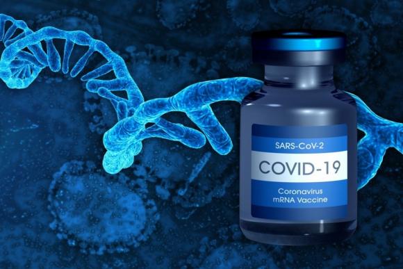 42 1 Trung Quoc Hop Tac Voi Biontech San Xuat Vaccine Mrna Covid 19