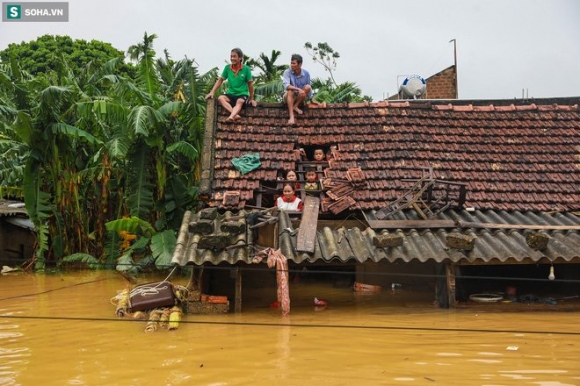 3 Nhung Nha Hao Tam Dang Thuong Trai Tim Nham Cho De Tren Dau