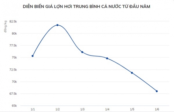 2 Gia Lon Hoi Lao Doc Thit Lon Ngoai Cho Bao Gio Moi Re