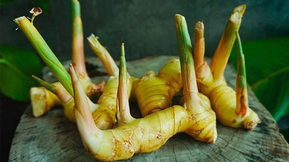 3 3 Loai Thuc Pham Ngon Re Giau Canxi Va Vitamin Bac Nhat Bac Si Khuyen Nen An Nhieu De Khong Lo Mac Benh Xuong Khop