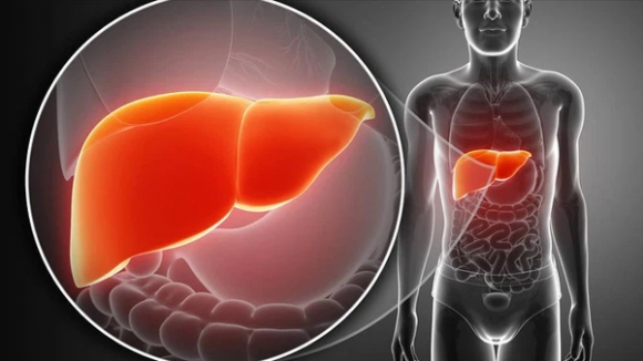 1 Khong Lien Quan Den Ruou Bia Day La Chat Xuc Tac Giau Mat Cuc Ki Hai Gan Dang Tiec Nhieu Nguoi Khong Bo Duoc