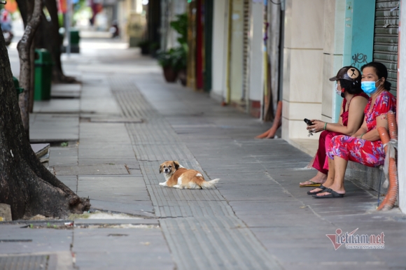 10 Tphcm Vang Lang Chua Tung Thay Trong Ngay Dau Cach Ly Xa Hoi