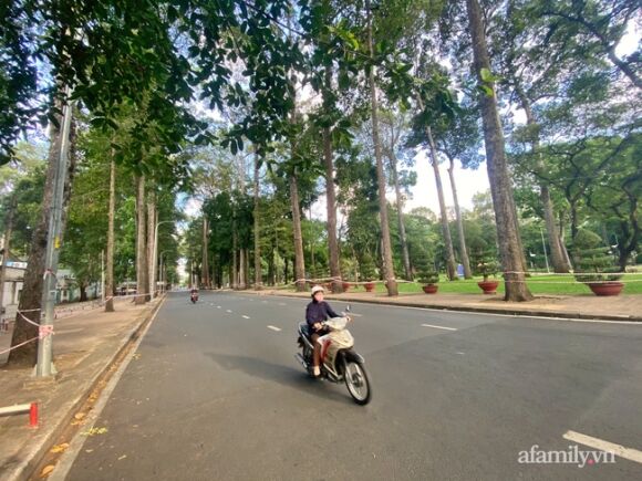 12 Tphcm Vang Nhu Mung 1 Tet Trong Ngay Dau Gian Cach